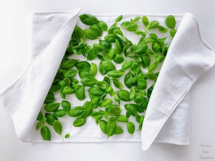 Basil leaves on a white dish towel