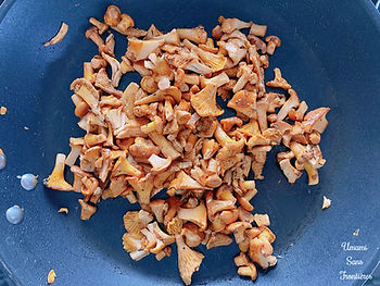 Mushrooms (chanterelle) in a frying pan