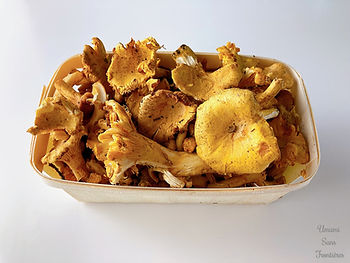 Chanterelle