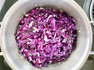 Rotkohl cabbage