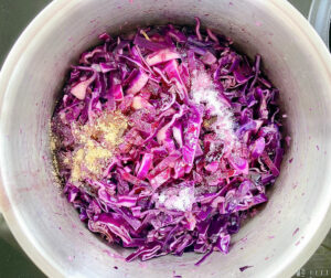 Rotkohl salt