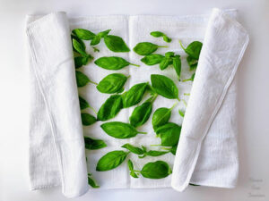 basil leaves on a white dish towel