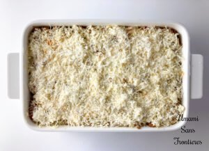 Lasagne béchamel sauce lasagne sheets bolognese parmesan cheese in a ovenproof disn