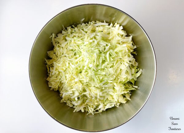 Okonomiyaki cabbage spitzkhol