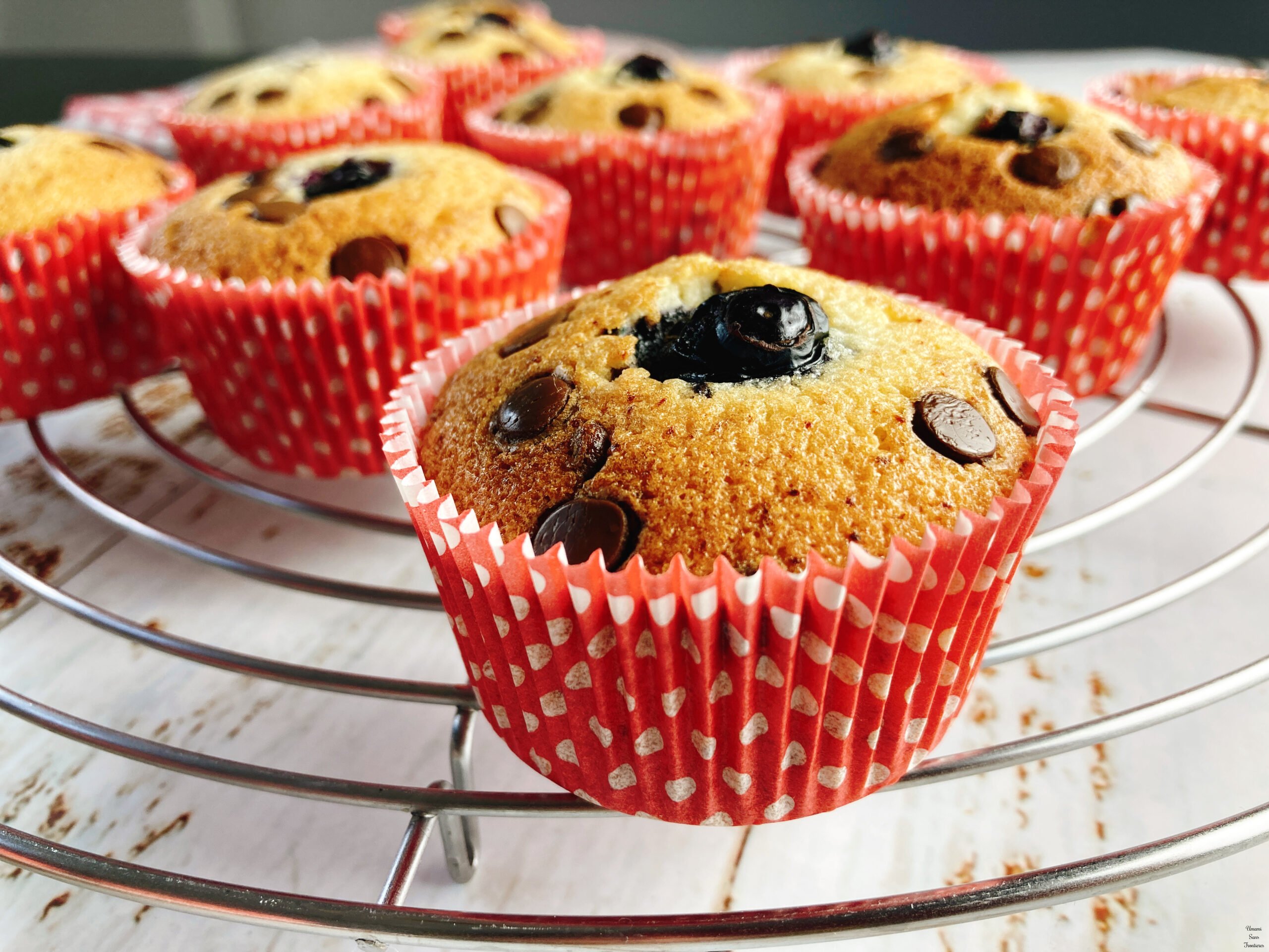 Muffins aux blancs d’œufs baked muffins