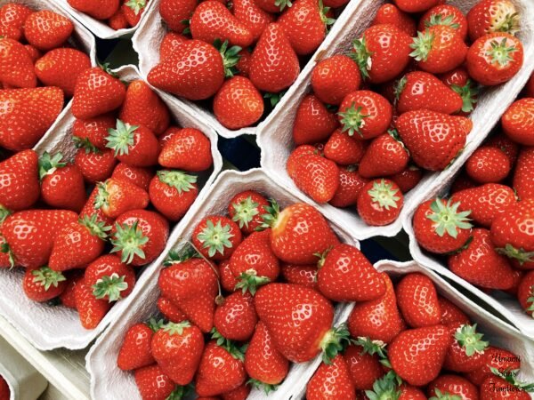 strawberries in the market