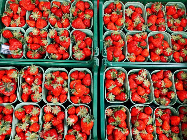 strawberries in shop stand