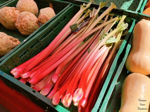Spring with Rhubarb❤️ A European Favorite🌿