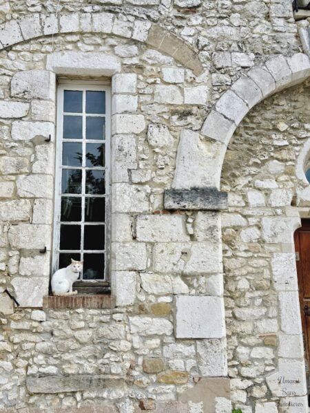 Cat Provins