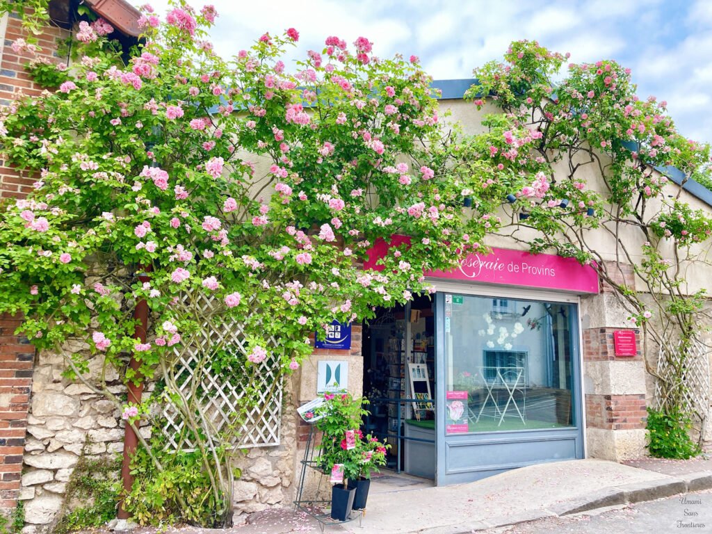 Rose Provins