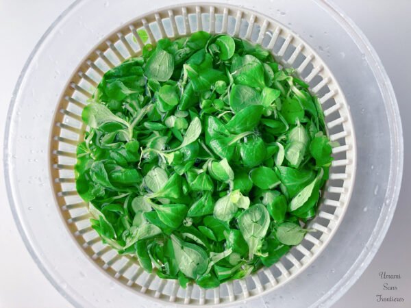  Lamb’s Lettuce (Mâche) 