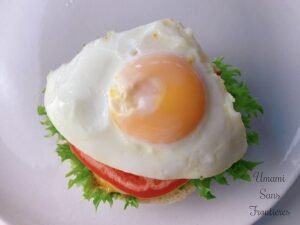 fried egg on the cheese