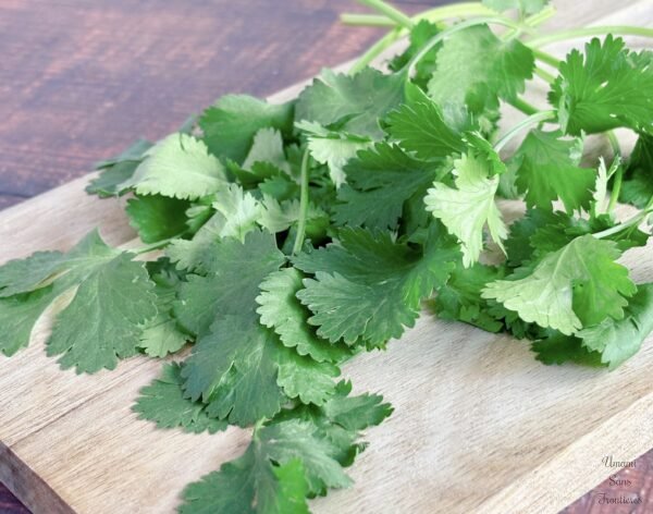 Coriander 