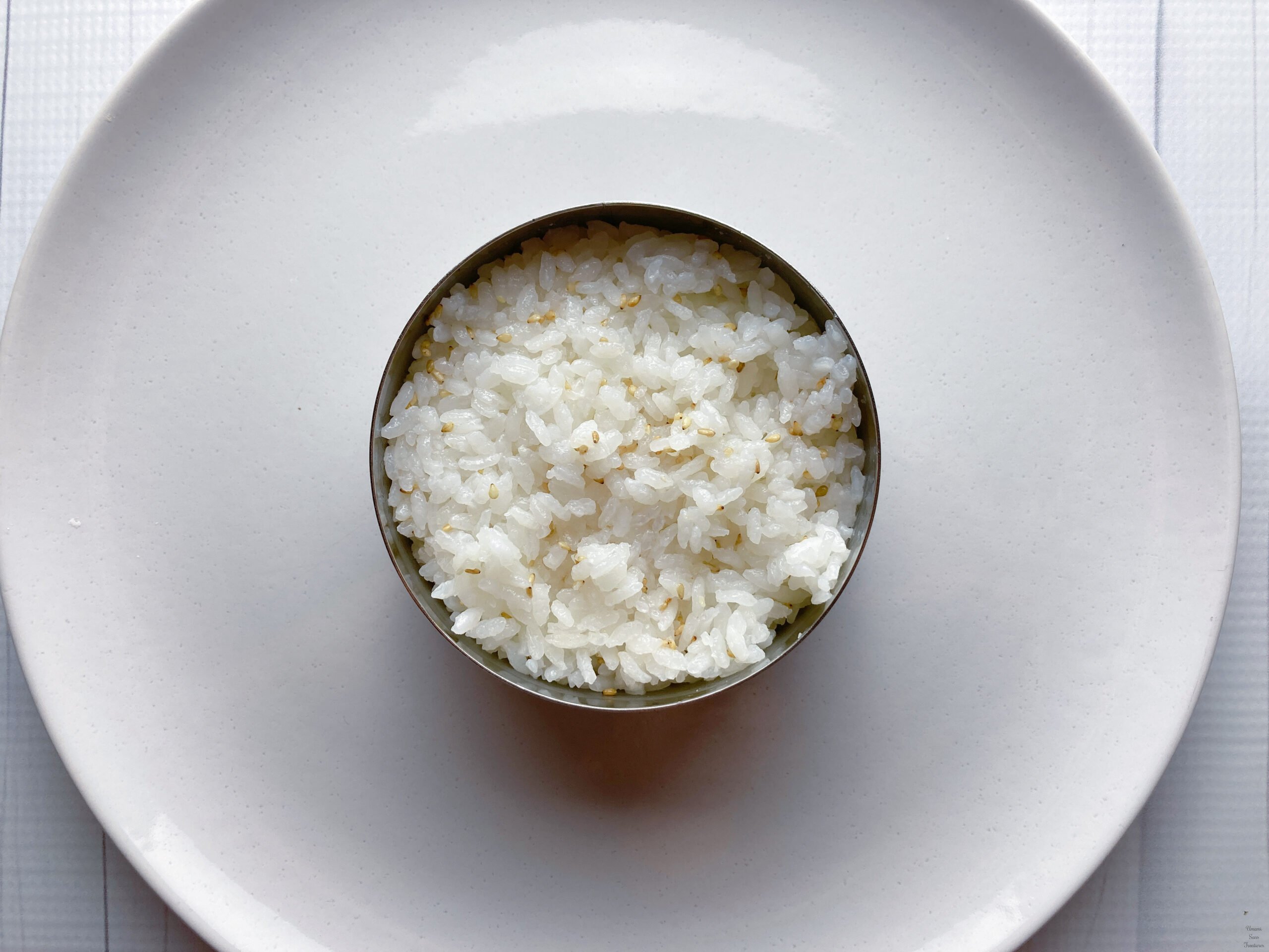 Sushi rice cercle