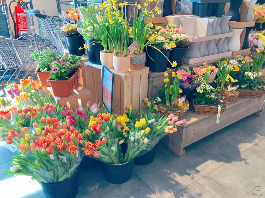 Flowers in Edeka