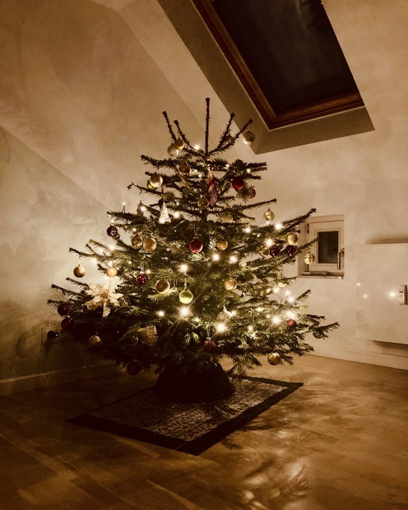 Berlin Christmas Tree night