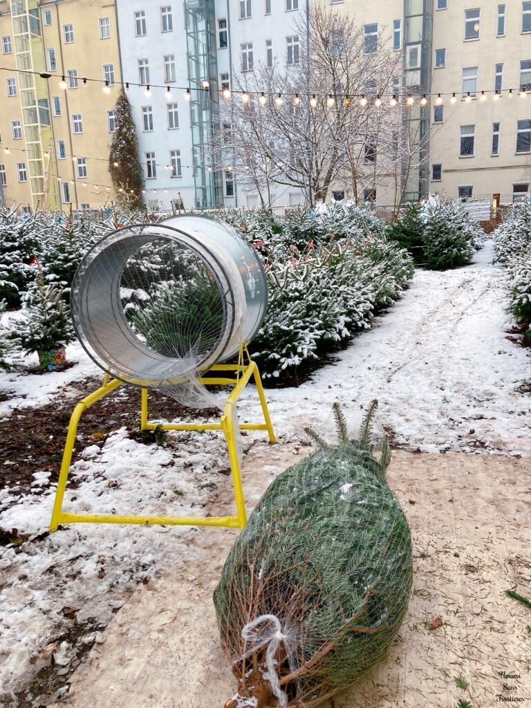 Christmas tree wrapped 