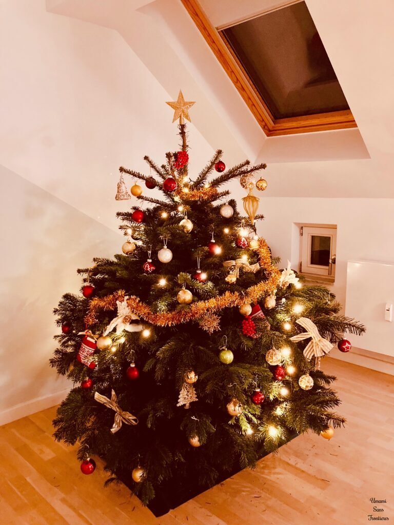 Christmas tree in the house
