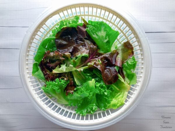 Mixed salad water