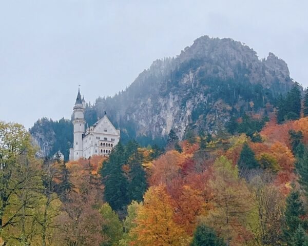 Munich Vol.3: Neuschwanstein Castle Day Trip from Munich 🏰