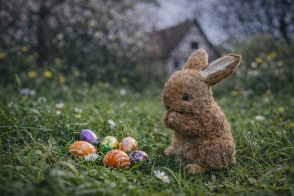 egg and rabbit