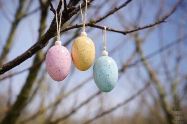 eggs in the tree