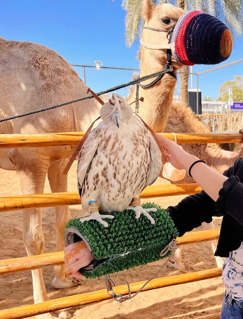 camel and eagle at mosque