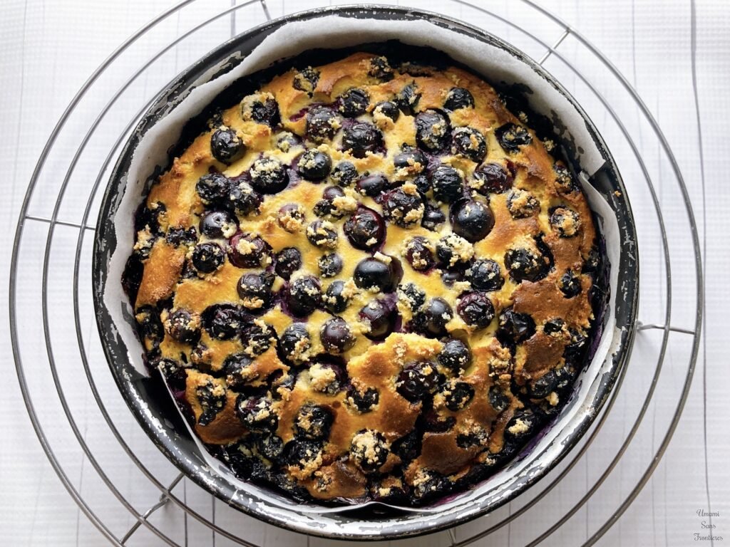 baked blueberry yogurt flan